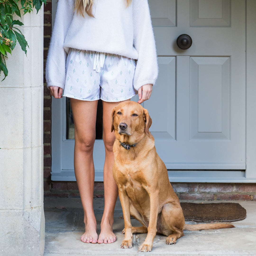 Annie Design Shorts (Sage Green)