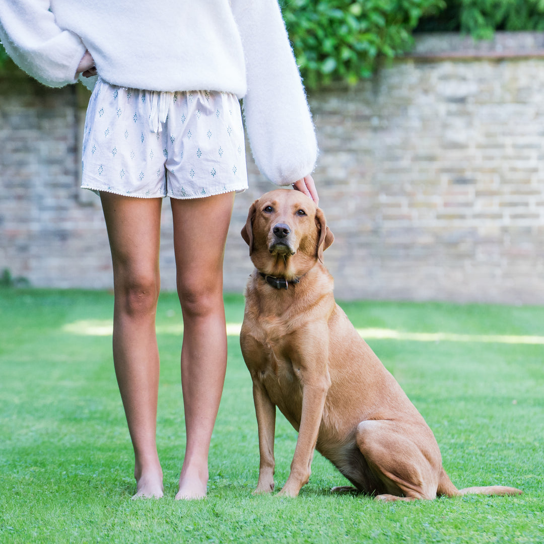 Annie Design Shorts (Sage Green)