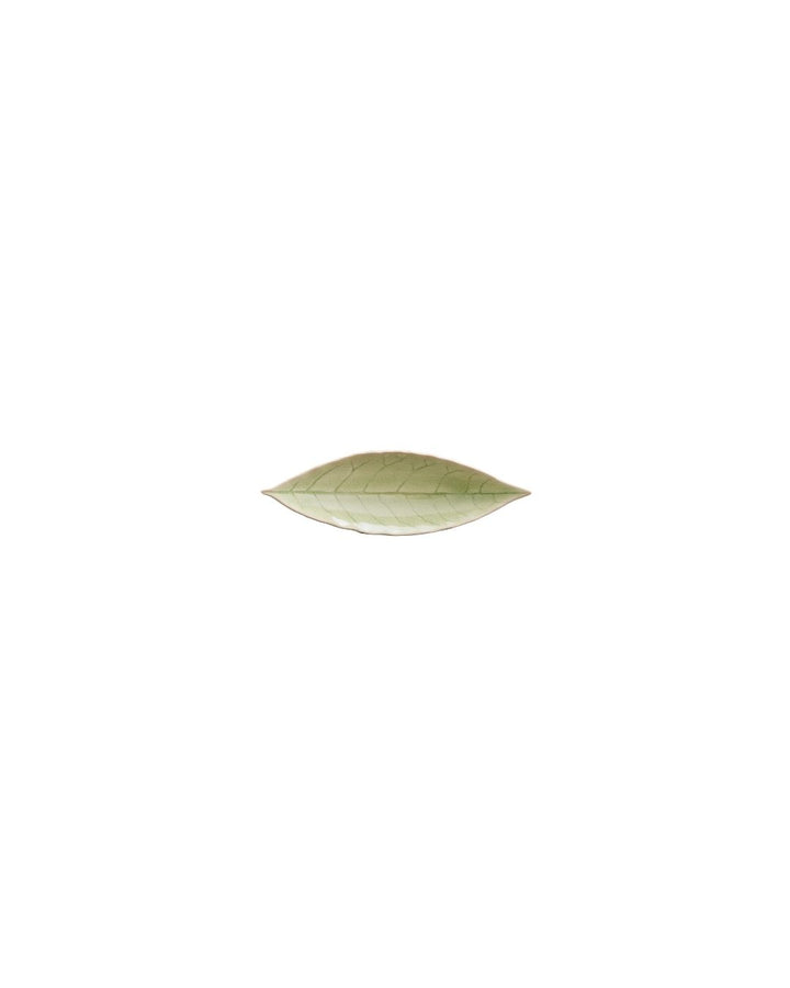 Riviera Vert Frais Laurel Leaf 18cm